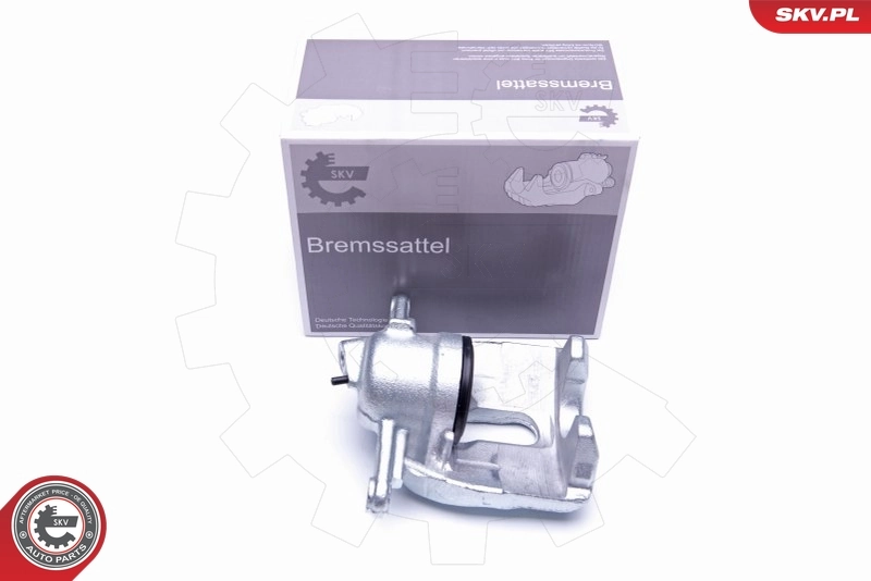 Brake Caliper